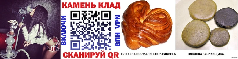 kraken вход  Снежногорск  Гашиш хэш  магазин продажи  