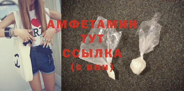 мет Алексин