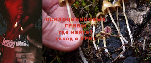 мет Алексин
