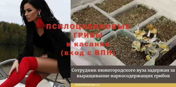 стафф Алексеевка