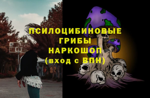 стафф Алексеевка