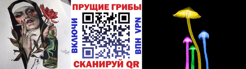 Галлюциногенные грибы мухоморы даркнет сайт Снежногорск
