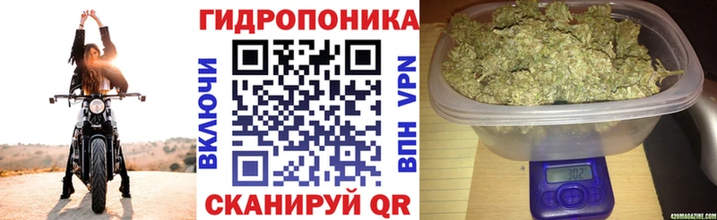Бошки Шишки THC 21% Снежногорск